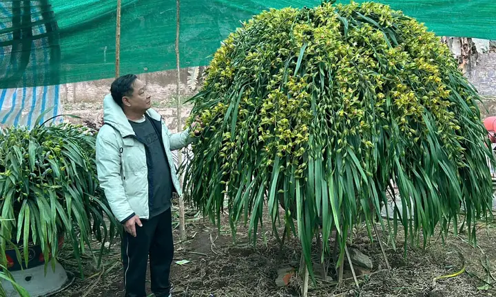 Nằm Mơ Thấy Mình Ở Truồng Đánh Số May