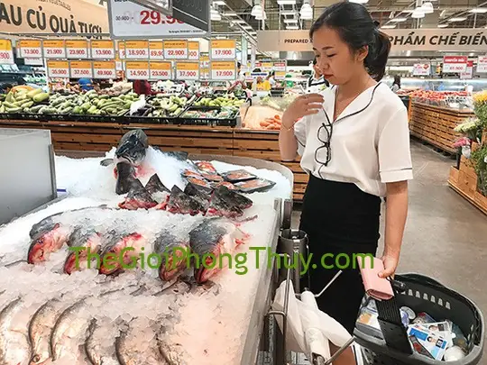 Nằm Mơ Thấy Mua Cá Đánh Con Gì Nằm Mơ Thấy Mua Cá Đánh Con Gì