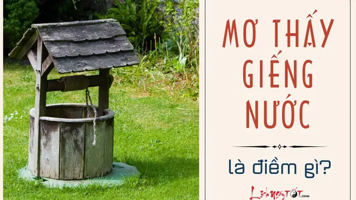 Nằm Mơ Thấy Múc Nước Giếng Là Điềm Gì Nằm Mơ Thấy Múc Nước Giếng Là Điềm Gì