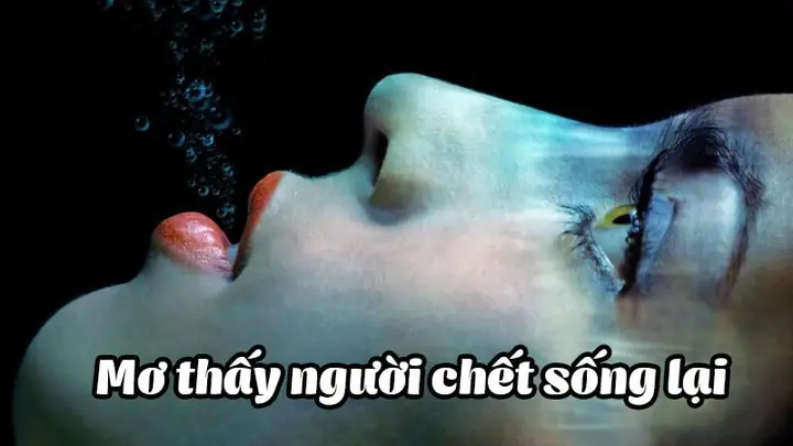 Nằm Mơ Thấy Người Chết Sống Lại Điềm Báo Gì Nằm Mơ Thấy Người Chết Sống Lại Điềm Báo Gì