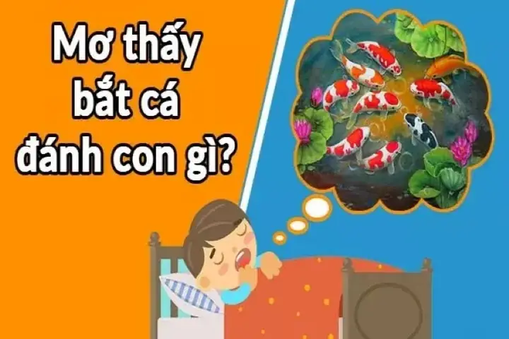 Nằm Mơ Thấy Người Khác Bắt Cá Đánh Con Gì