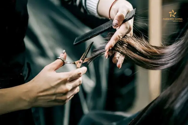 Nằm Mơ Thấy Người Khác Cắt Tóc Ngắn Nằm Mơ Thấy Người Khác Cắt Tóc Ngắn