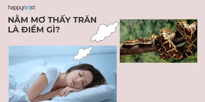 Nằm Mơ Thấy Người Phụ Nữ Đưa Tiền Cho Mình