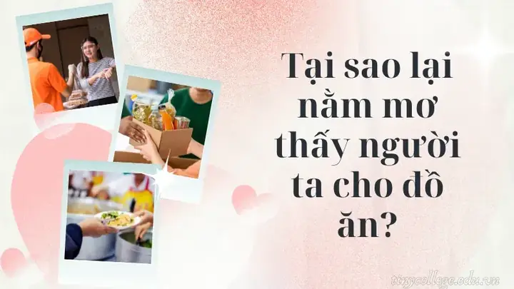 Nằm Mơ Thấy Người Ta Cho Đồ Ăn Nằm Mơ Thấy Người Ta Cho Đồ Ăn