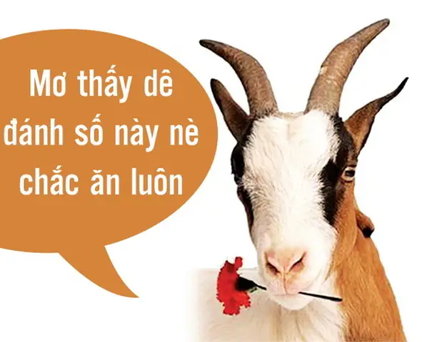 Nằm Mơ Thấy Người Ta Dê Đánh Số May