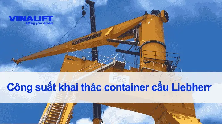 Nằm Mơ Thấy Người Ta Dê Đánh Số May Nằm Mơ Thấy Người Ta Dê Đánh Số May