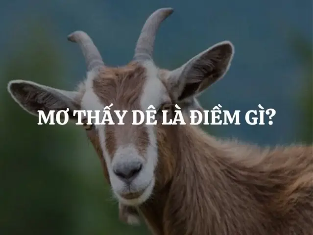 Nằm Mơ Thấy Người Ta Dê Mình Đánh Số Gì