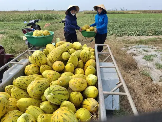 Nằm Mơ Thấy Nhà Mới Của Người Khác