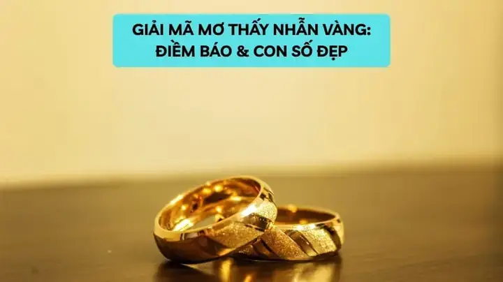Nằm Mơ Thấy Nhẫn Vàng 24k Đánh Số Gì Nằm Mơ Thấy Nhẫn Vàng 24k Đánh Số Gì