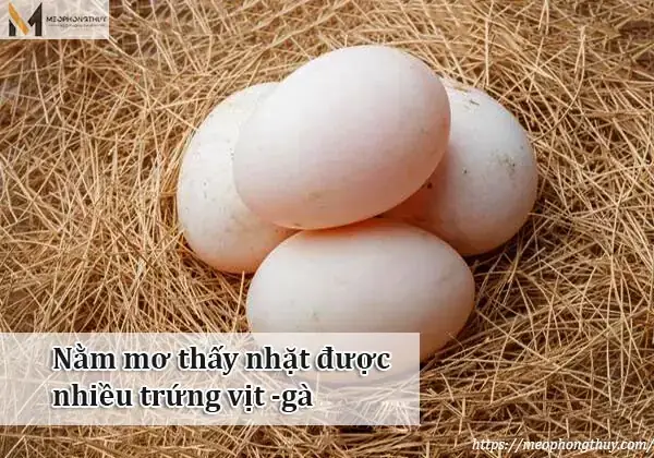 Nằm Mơ Thấy Nhặt Được Nhiều Trứng Gà