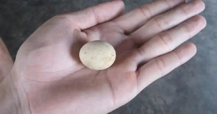 Nằm Mơ Thấy Nhặt Được Nhiều Trứng Gà