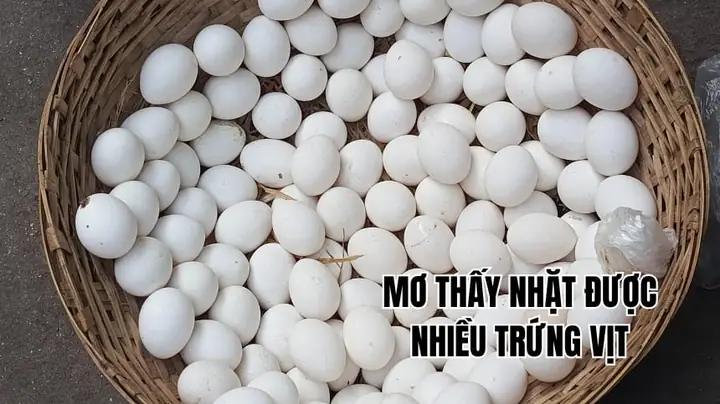 Nằm Mơ Thấy Nhặt Được Nhiều Trứng Vịt
