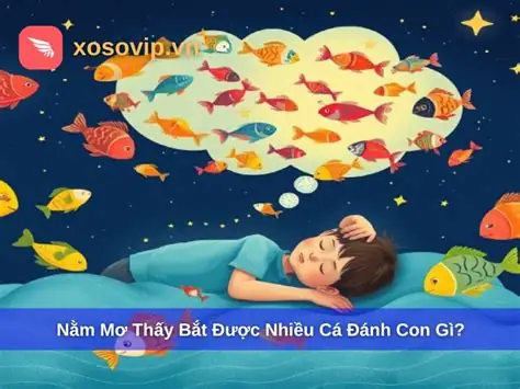 Nằm Mơ Thấy Nhiều Cá Đánh Con Gì Nằm Mơ Thấy Nhiều Cá Đánh Con Gì