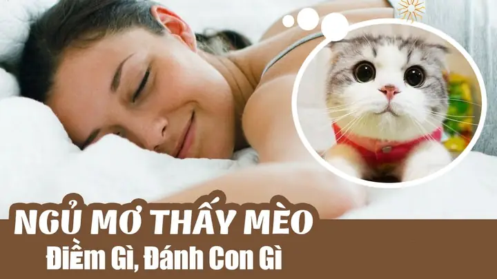 Nằm Mơ Thấy Nhiều Chuột Đánh Số May