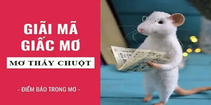Nằm Mơ Thấy Nhiều Chuột Đánh Số May Nằm Mơ Thấy Nhiều Chuột Đánh Số May