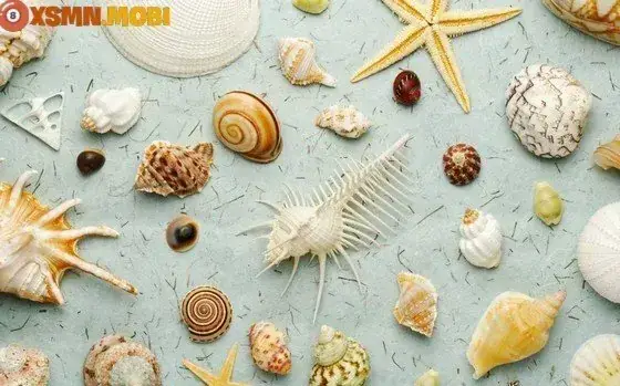 Nằm Mơ Thấy Nhiều Ốc Đánh Đề Con Gì
