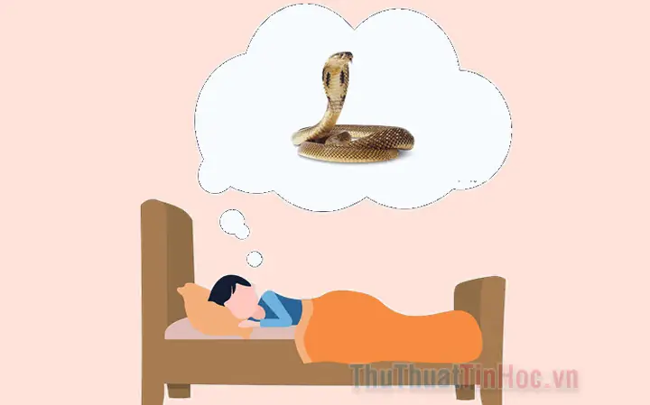 Nằm Mơ Thấy Nhiều Rắn Đánh De Con Gì