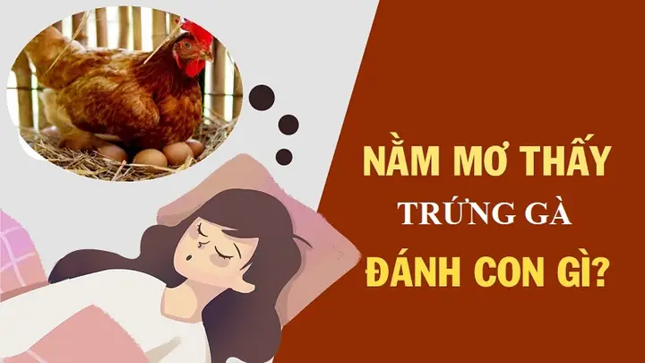 Nằm Mơ Thấy Nhiều Trứng Gà Đánh De Con Gì Nằm Mơ Thấy Nhiều Trứng Gà Đánh De Con Gì