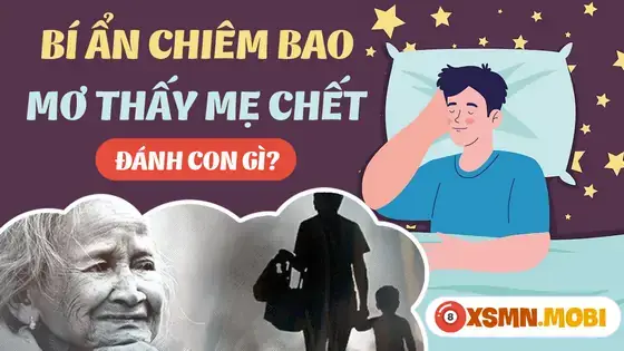 Nằm Mơ Thấy Nói Chuyện Với Mẹ Chồng