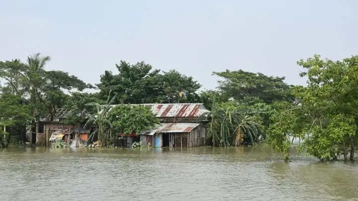 Nằm Mơ Thấy Nước Dâng Cao Đánh Số May