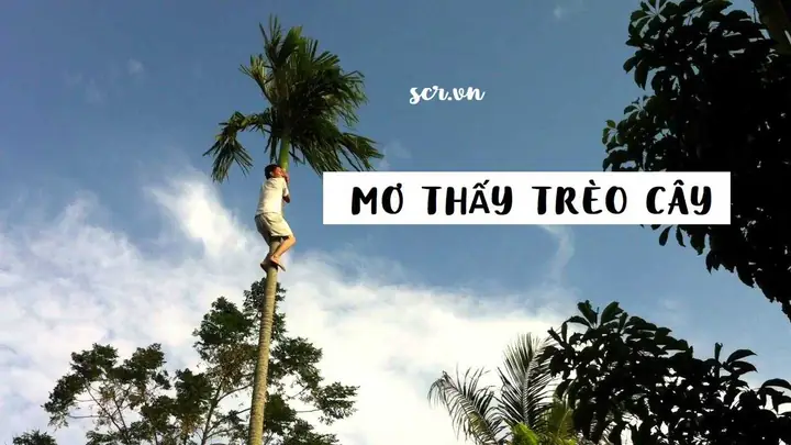Nằm Mơ Thấy Ông Địa Đánh Số May