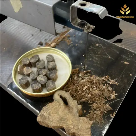 Nằm Mơ Thấy Ông Địa Thần Tài Đánh Số May