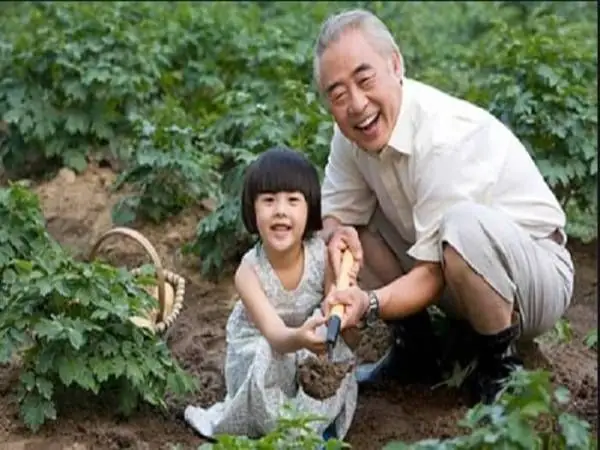 Nằm Mơ Thấy Ông Nội Đã Mất Đánh Con Gì