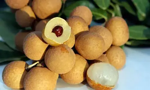 Nằm Mơ Thấy Quả Nhãn Đánh Đề Con Gì Nằm Mơ Thấy Quả Nhãn Đánh Đề Con Gì