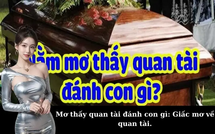 Nằm Mơ Thấy Quan Tài Đánh Số May
