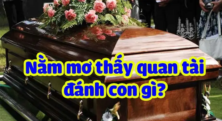 Nằm Mơ Thấy Quan Tài Là Điềm Báo Gì Nằm Mơ Thấy Quan Tài Là Điềm Báo Gì