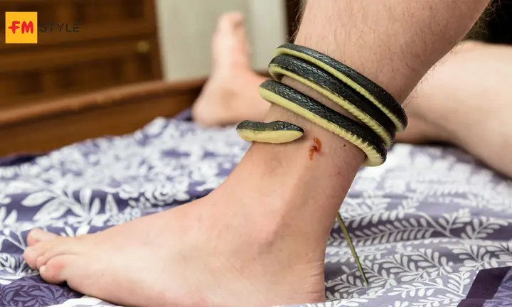 Nằm Mơ Thấy Rắn Cắn Đánh Số Gì