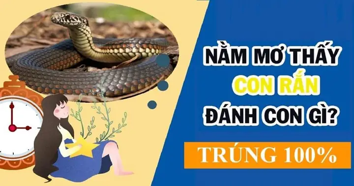 Nằm Mơ Thấy Rắn Cắn Vào Chân Chảy Máu