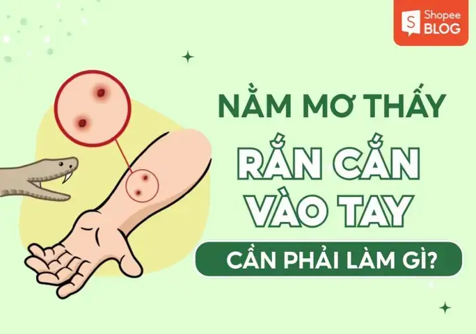 Nằm Mơ Thấy Rắn Cắn Vào Chân Phải