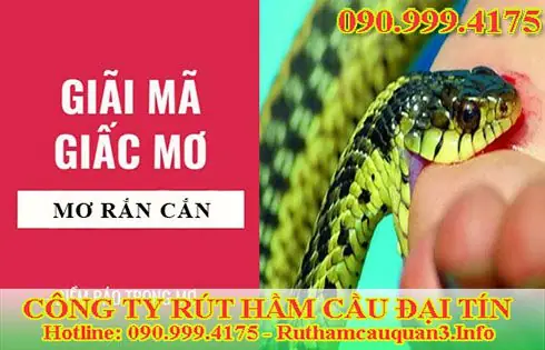 Nằm Mơ Thấy Rắn Cắn Vào Tay Chảy Máu