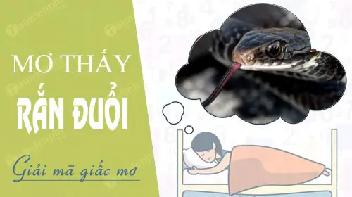 Nằm Mơ Thấy Rắn Đuổi Đánh Đề Con Gì