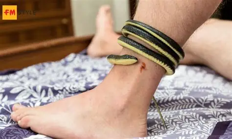 Nằm Mơ Thấy Rắn Hổ Mang Cắn Vào Tay
