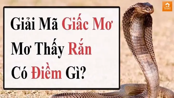 Nằm Mơ Thấy Rắn Hổ Mang Đánh Đề Con Gì