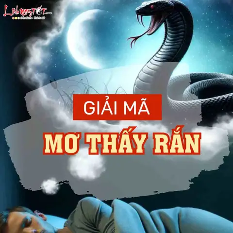 Nằm Mơ Thấy Rắn Nhiều Đầu La Điềm Gì