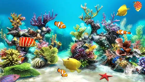 Nằm Mơ Thấy Rất Nhiều Cá Bơi Trong Nước Đánh Con Gì