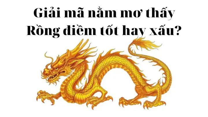 Nằm Mơ Thấy Rồng Dưới Nước Đánh Con Gì