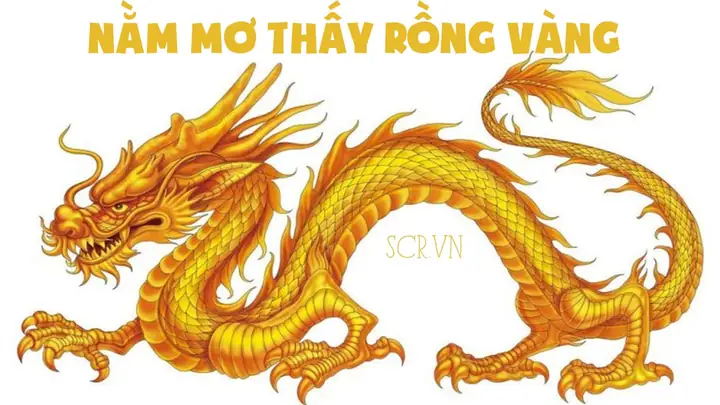 Nằm Mơ Thấy Rồng Vàng Bay Trên Trời