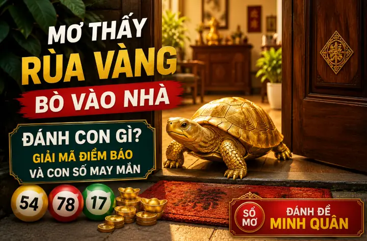 Nằm Mơ Thấy Rùa Vàng Đánh Con Gì