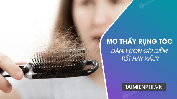 Nằm Mơ Thấy Rụng Tóc Đánh Số May