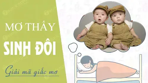 Nằm Mơ Thấy Sinh Đôi 1 Trai 1 Gái Nằm Mơ Thấy Sinh Đôi 1 Trai 1 Gái