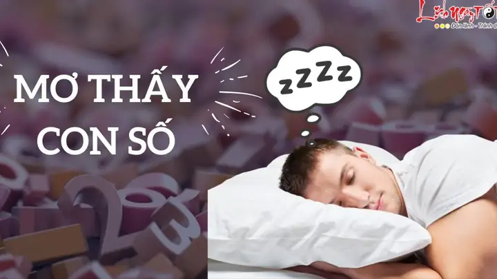 Nằm Mơ Thấy Số 11 Đánh Đề Con Gì Nằm Mơ Thấy Số 11 Đánh Đề Con Gì