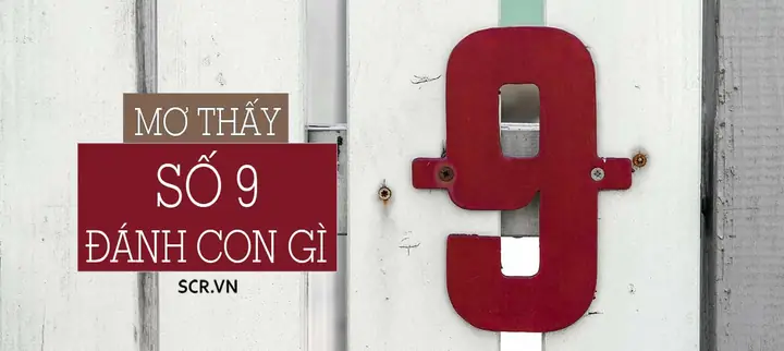 Nằm Mơ Thấy Số 9 Đánh Con Gì Nằm Mơ Thấy Số 9 Đánh Con Gì