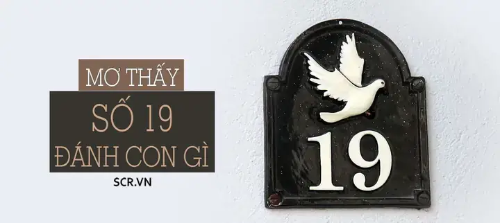 Nằm Mơ Thấy Số Mà Không Nhớ Đánh Con Gì Nằm Mơ Thấy Số Mà Không Nhớ Đánh Con Gì