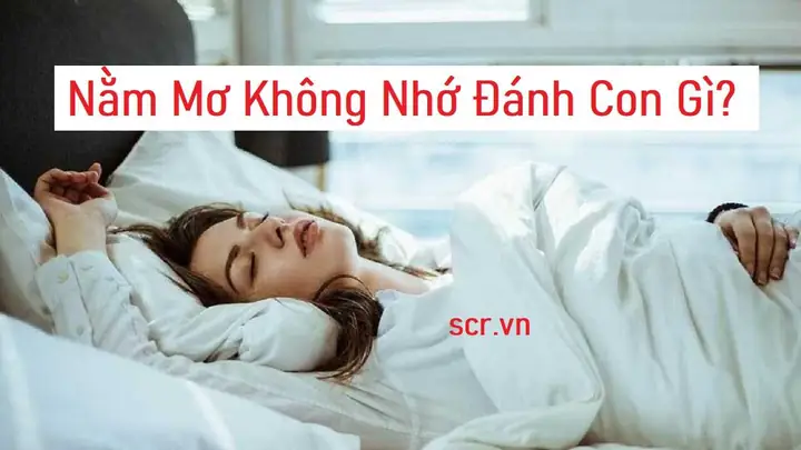 Nằm Mơ Thấy Số Mà Không Nhớ Đánh Con Gì Nằm Mơ Thấy Số Mà Không Nhớ Đánh Con Gì