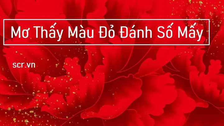 Nằm Mơ Thấy Số Mà Không Nhớ Đánh Con Gì