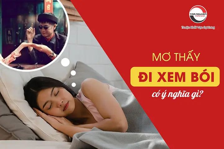 Nằm Mơ Thấy Thầy Bói Đánh Con Gì